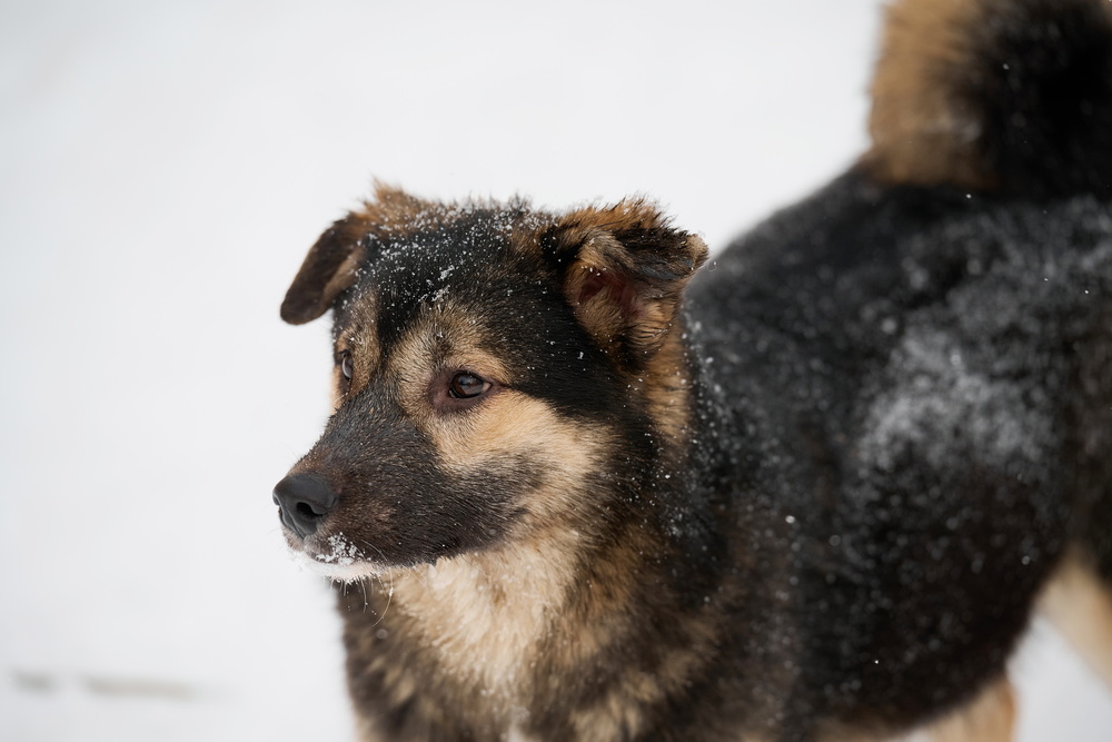 ph: Анна Молодожён
