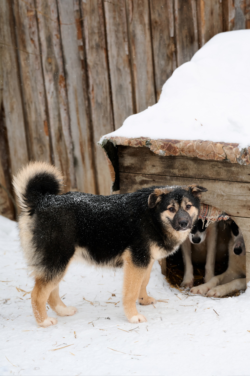 ph: Анна Молодожён