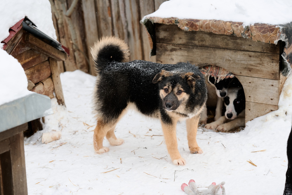 ph: Анна Молодожён