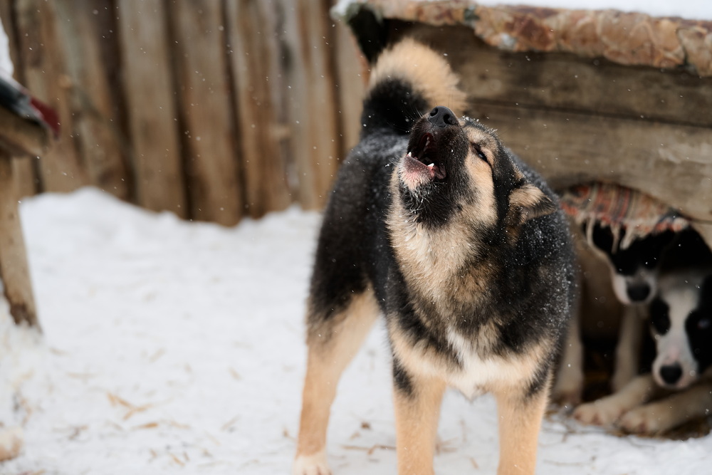 ph: Анна Молодожён