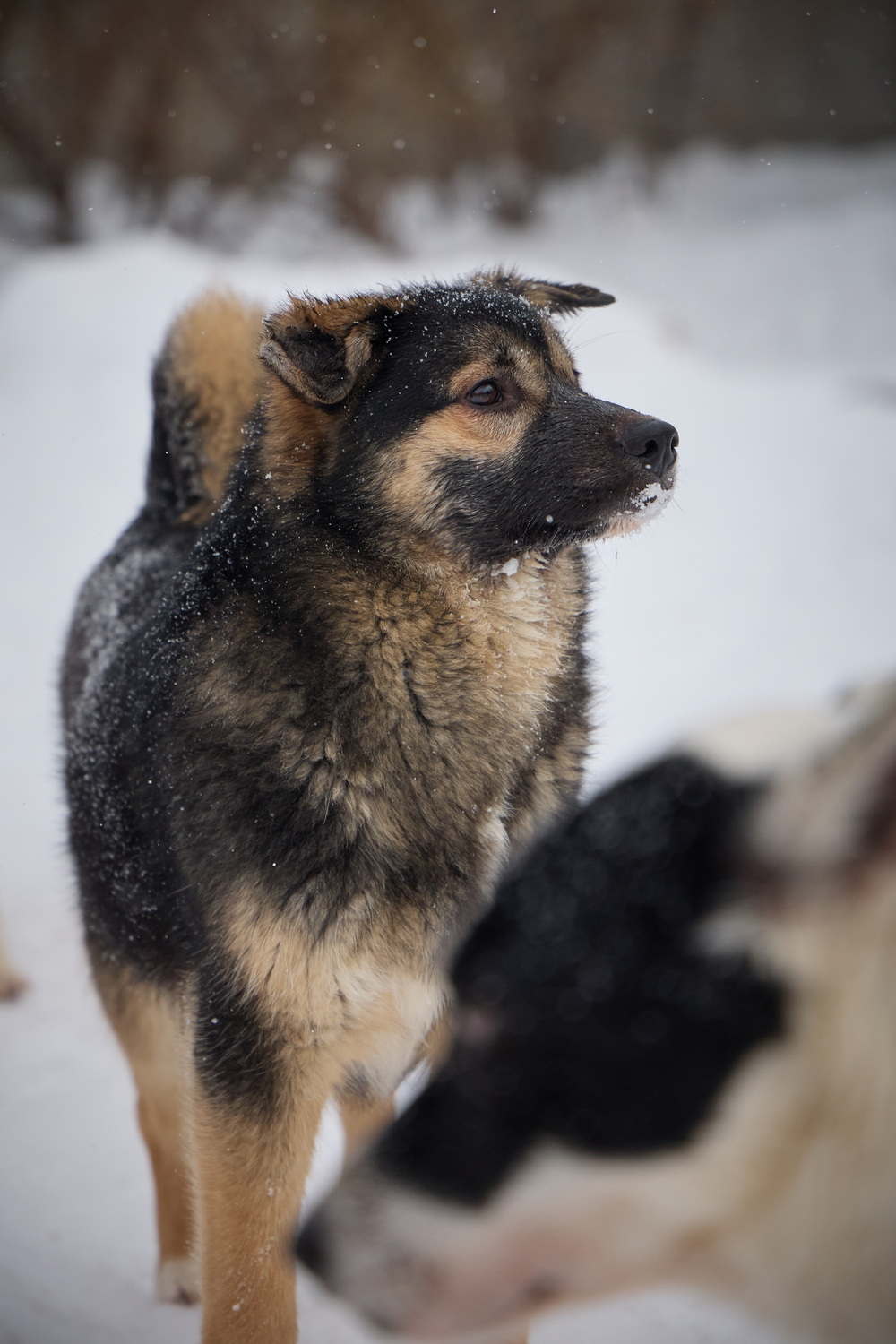 ph: Николай Коба