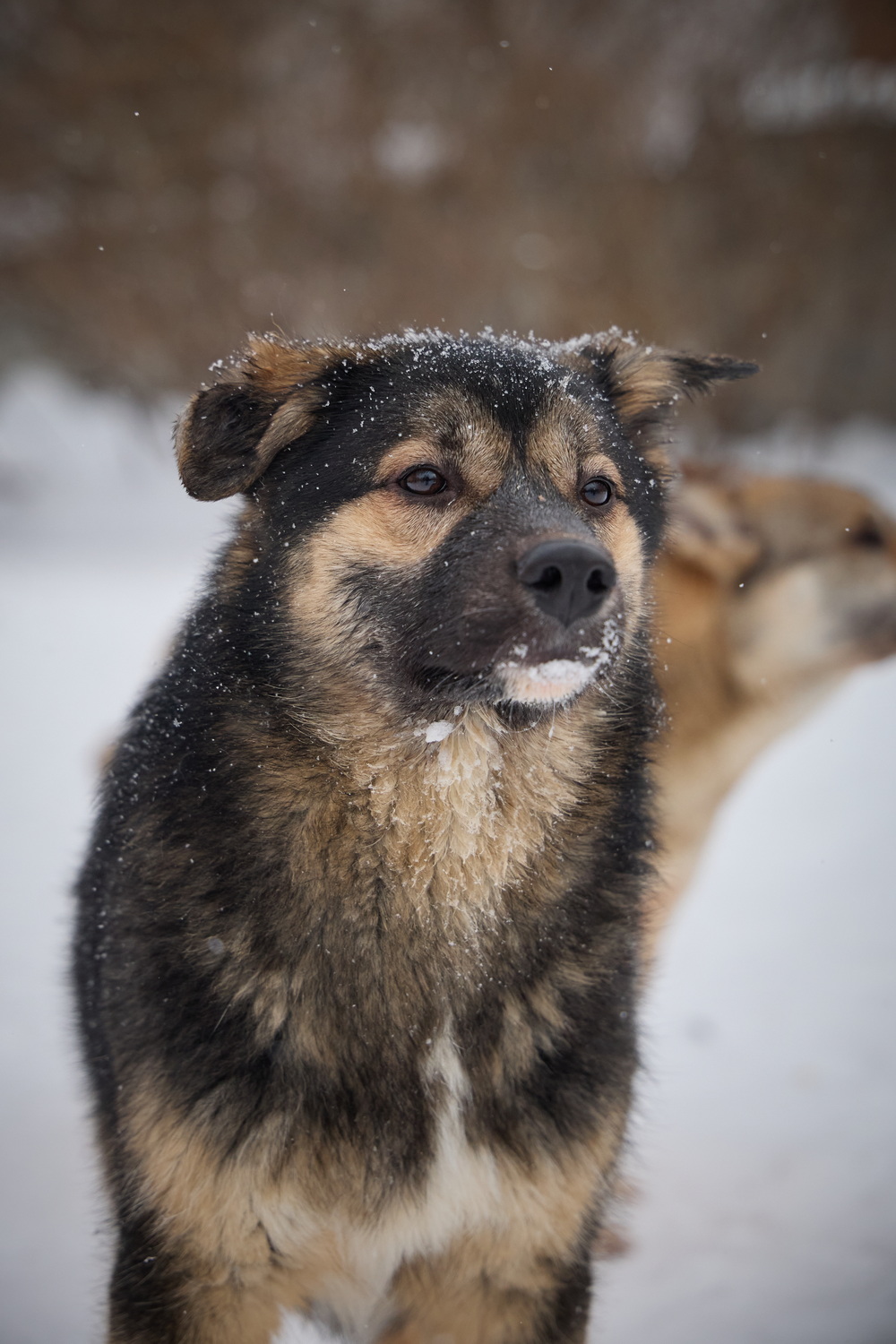ph: Николай Коба