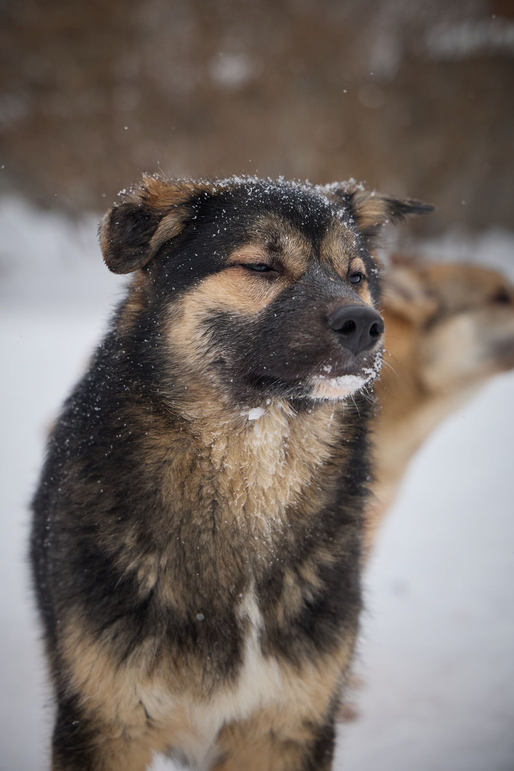 ph: Николай Коба