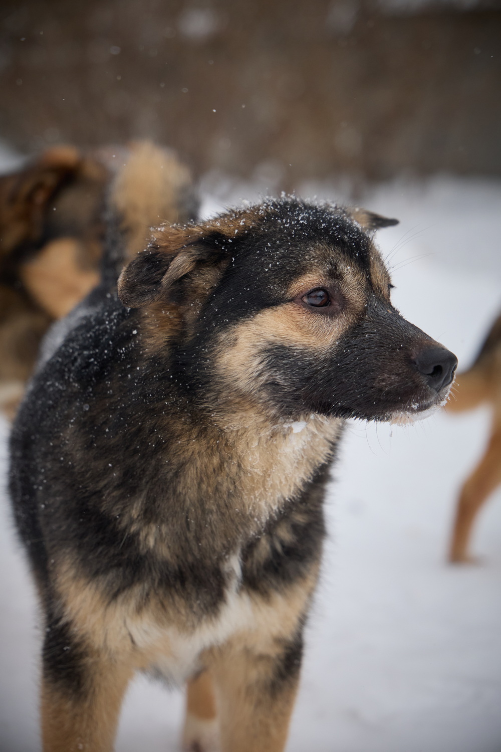 ph: Николай Коба