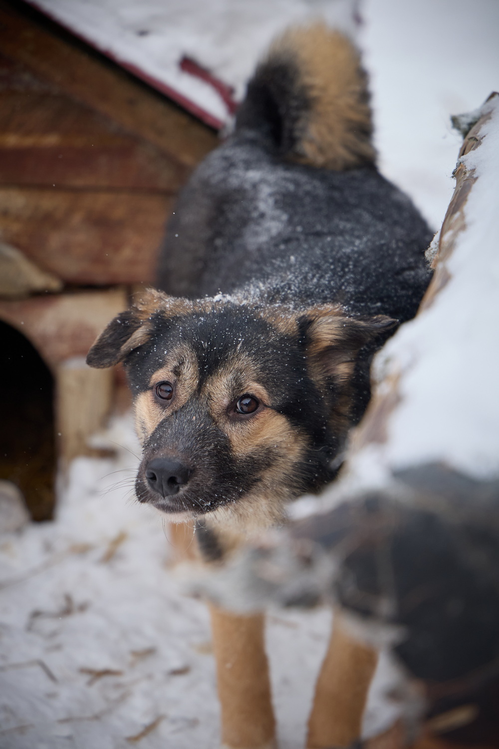 ph: Николай Коба