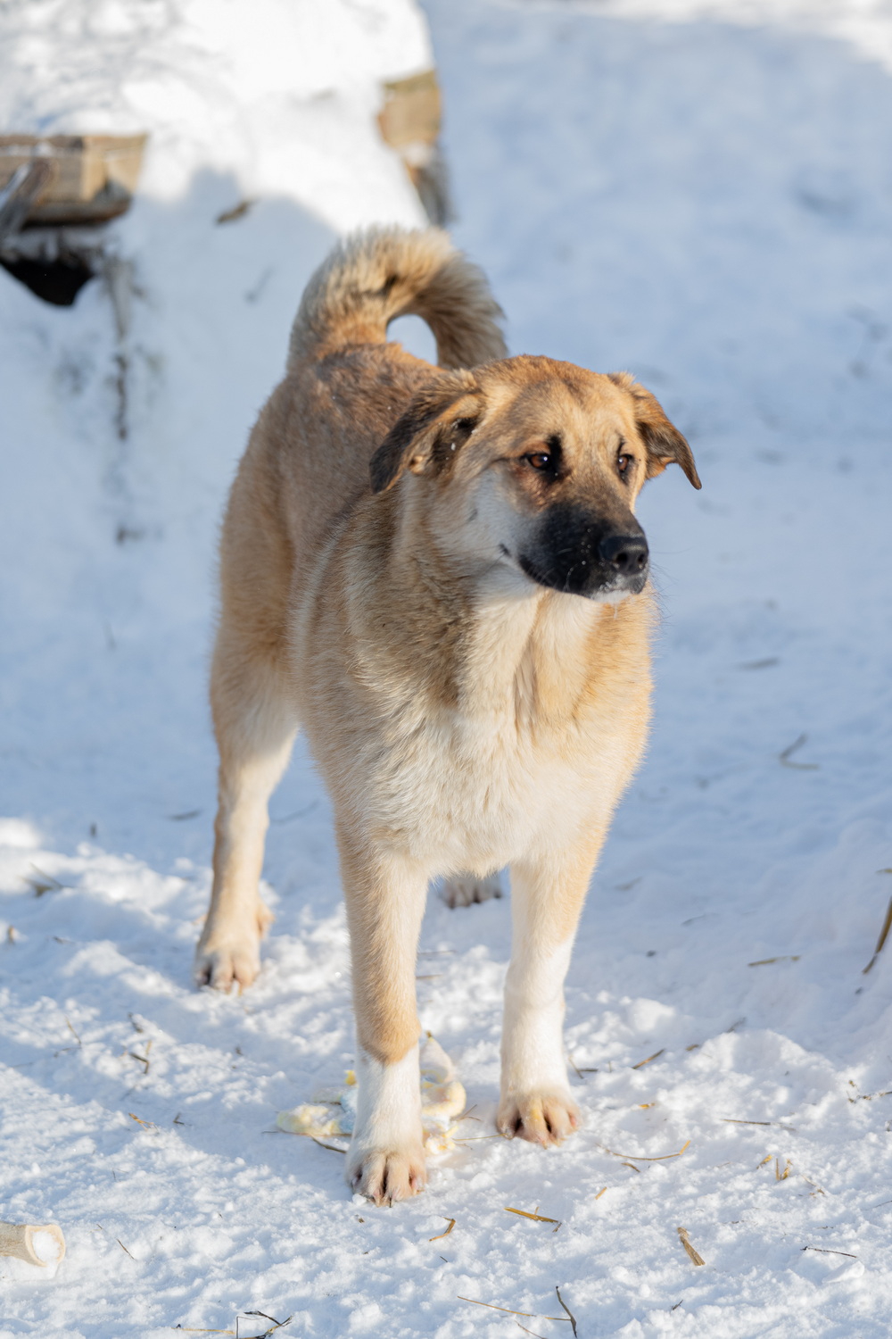 ph: Анна Молодожён