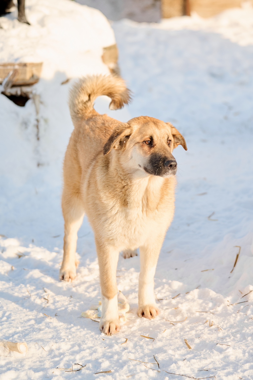 ph: Анна Молодожён