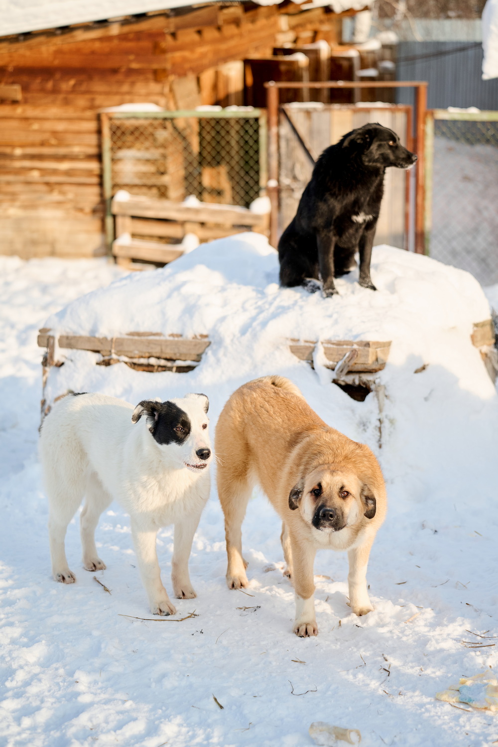 ph: Анна Молодожён