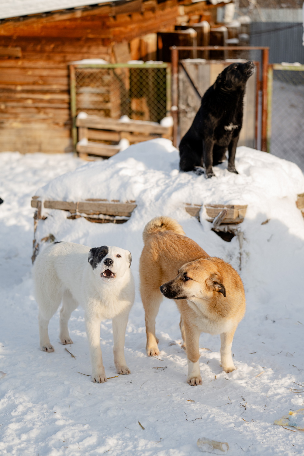 ph: Анна Молодожён