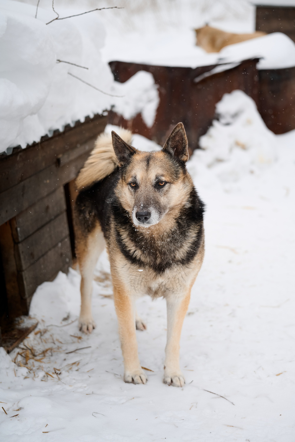 ph: Анна Молодожён