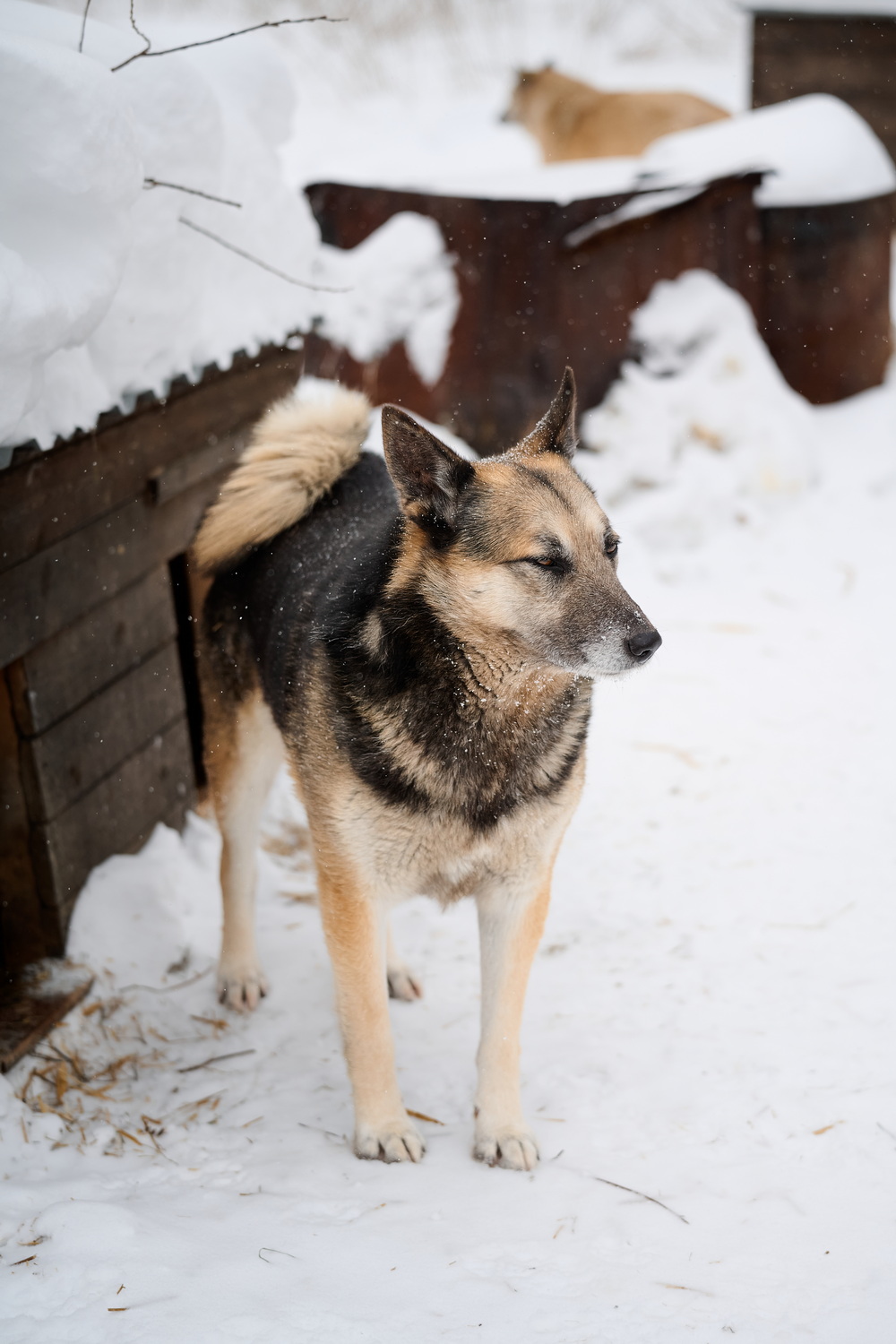 ph: Анна Молодожён
