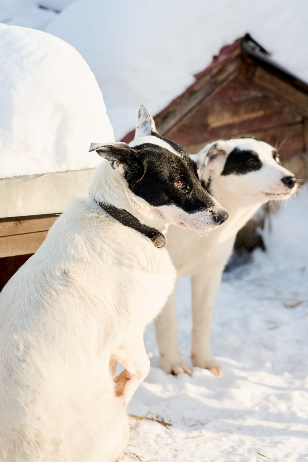 ph: Анна Молодожён