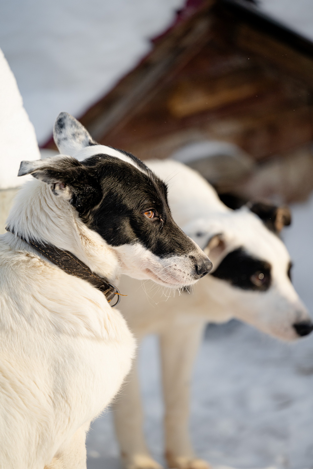 ph: Анна Молодожён