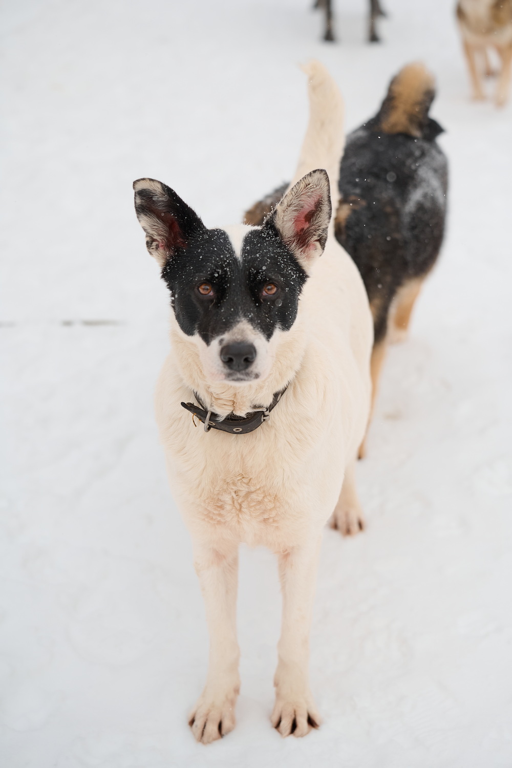 ph: Анна Молодожён