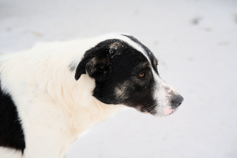 ph: Анна Молодожён