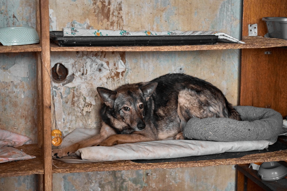 ph: Анна Молодожён