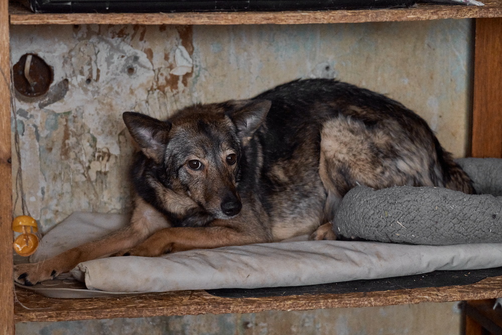 ph: Анна Молодожён