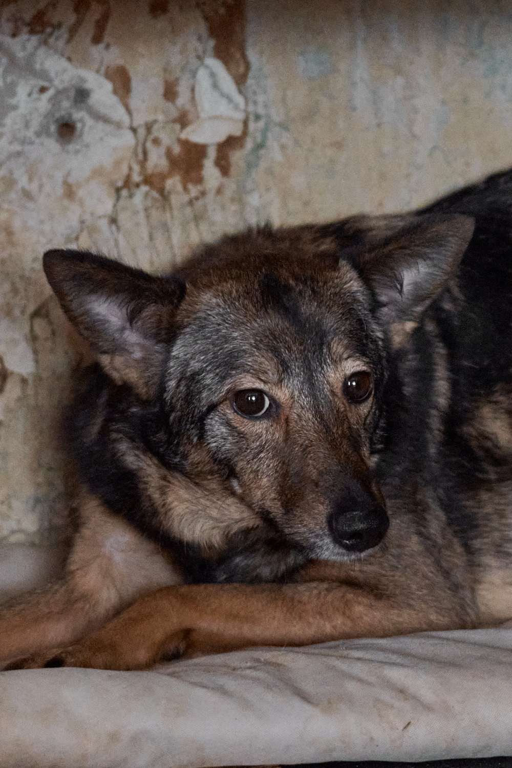 ph: Анна Молодожён