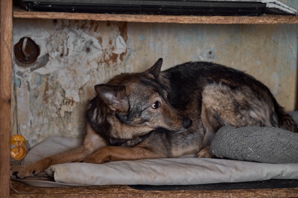 ph: Анна Молодожён