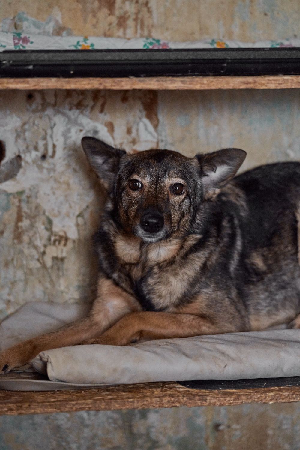 ph: Анна Молодожён