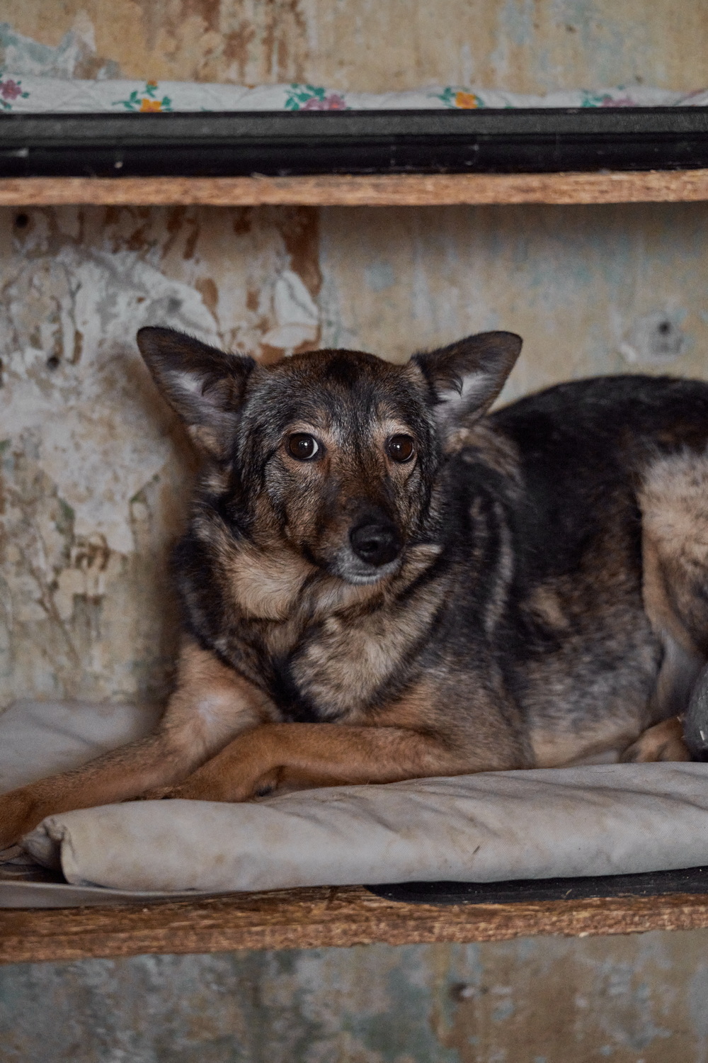 ph: Анна Молодожён