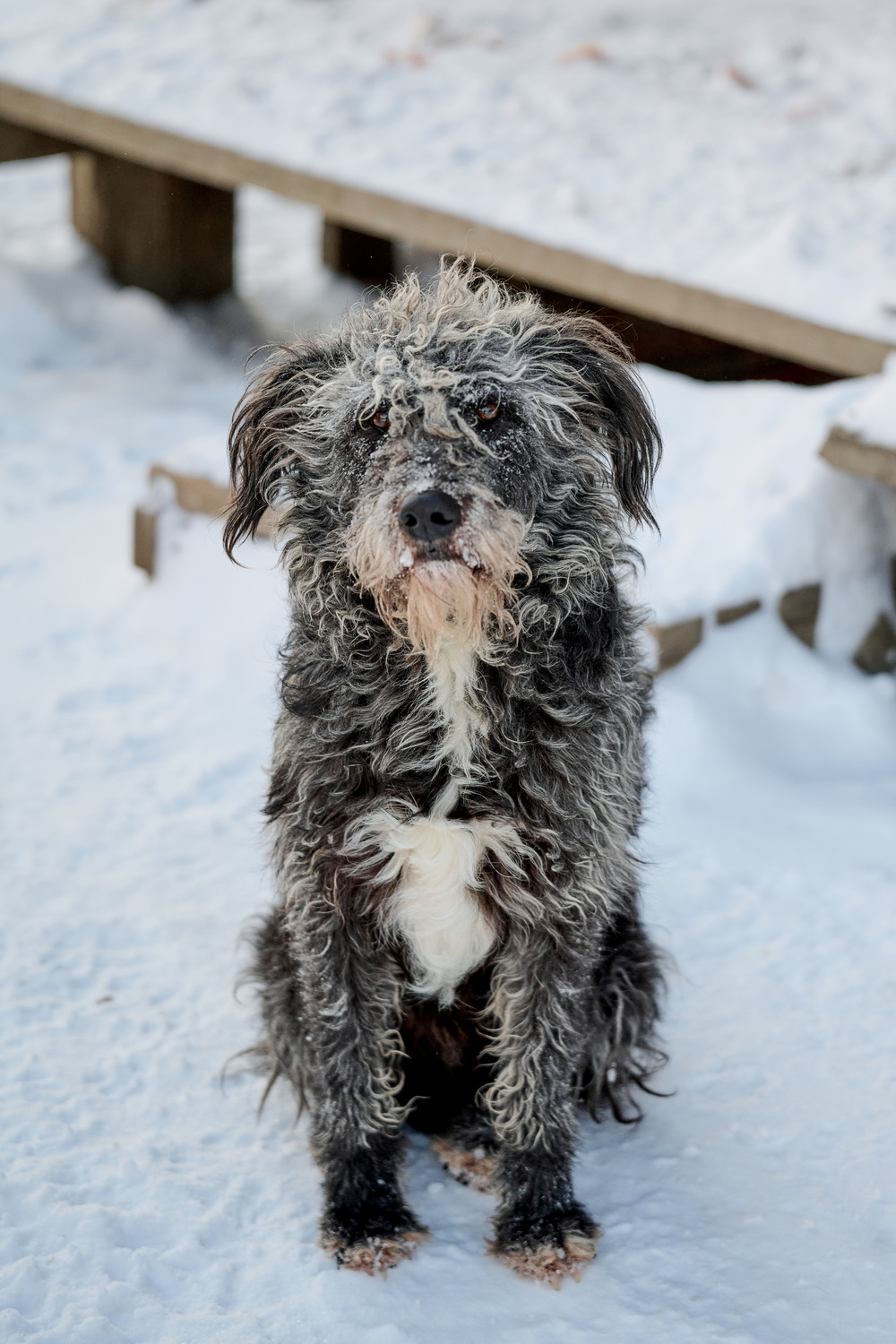 ph: Анна Молодожён