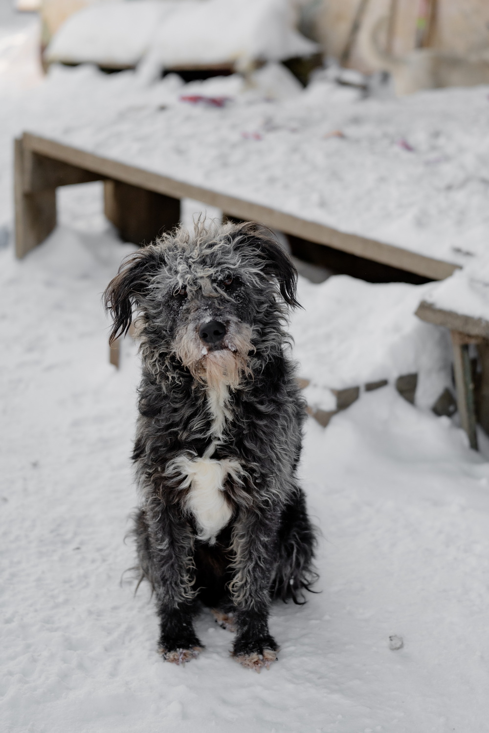 ph: Анна Молодожён