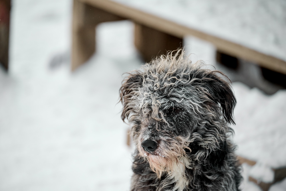 ph: Анна Молодожён