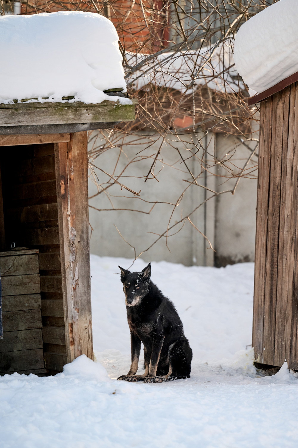 ph: Анна Молодожён