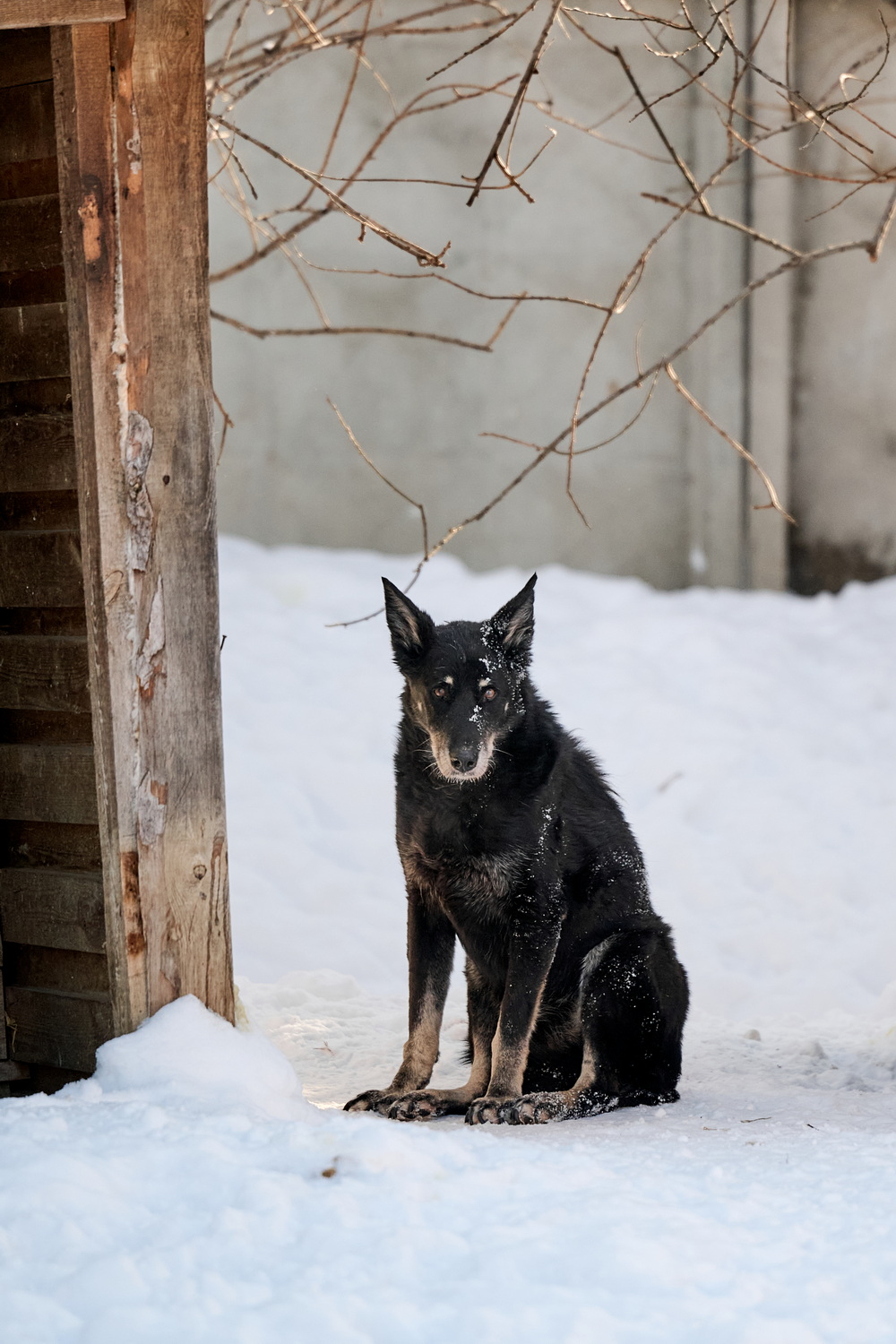 ph: Анна Молодожён