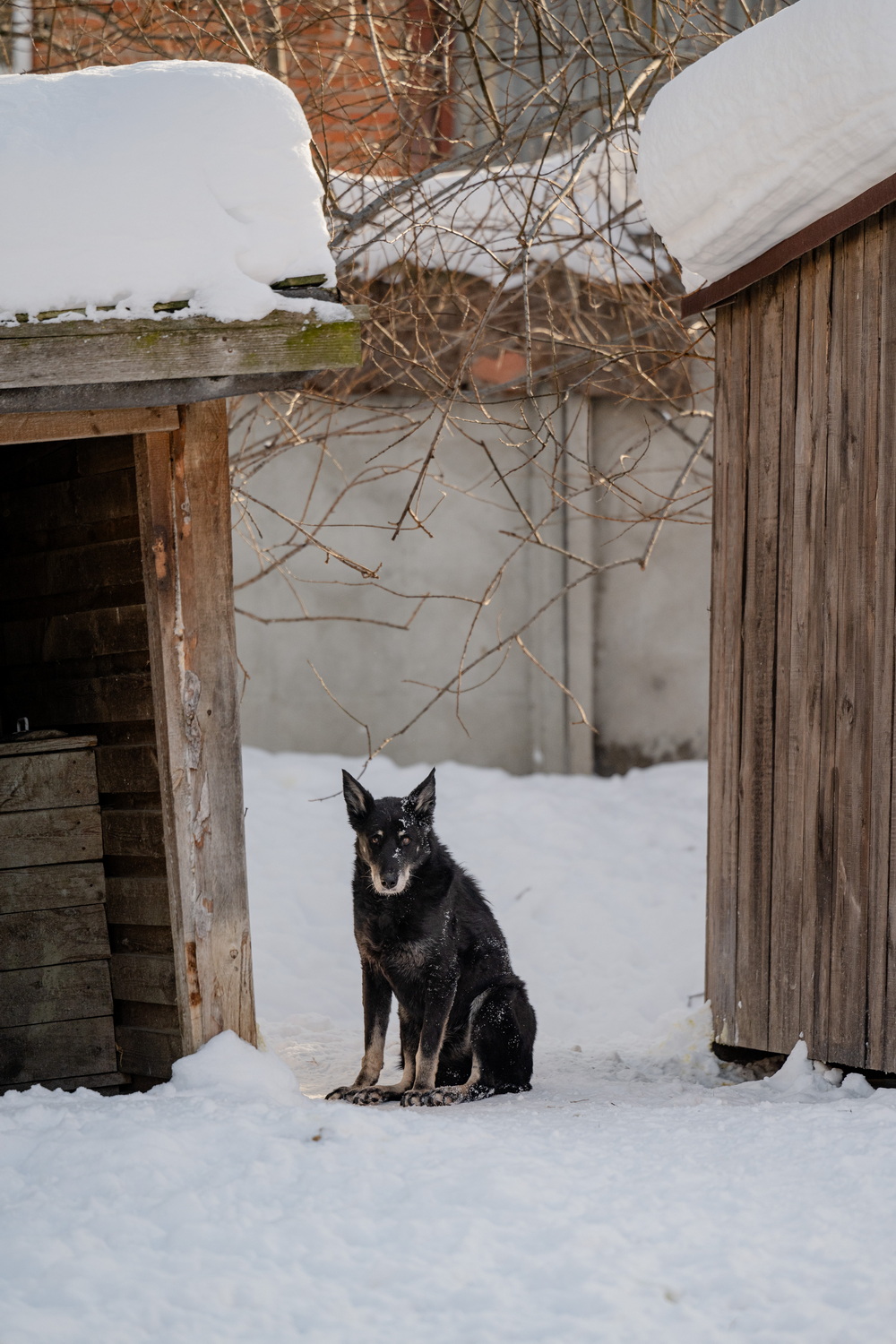 ph: Анна Молодожён