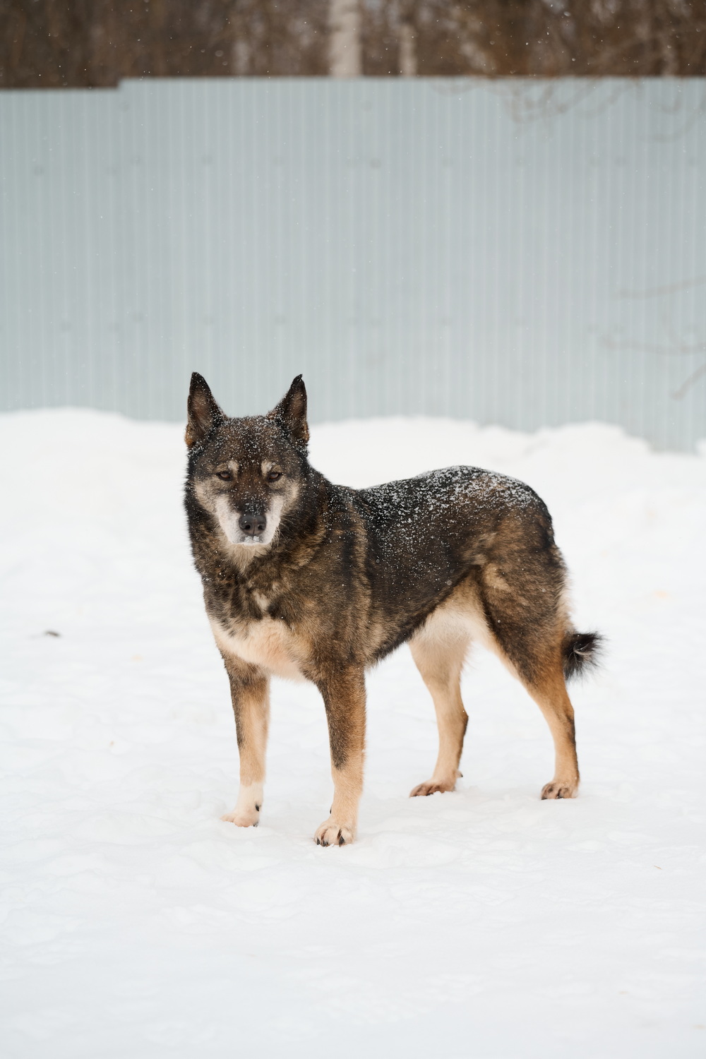 ph: Анна Молодожён