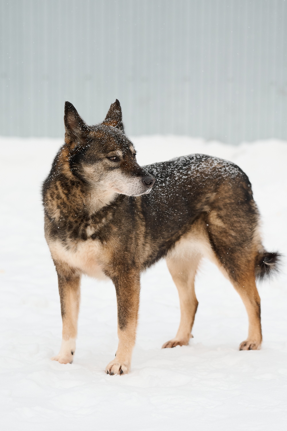 ph: Анна Молодожён
