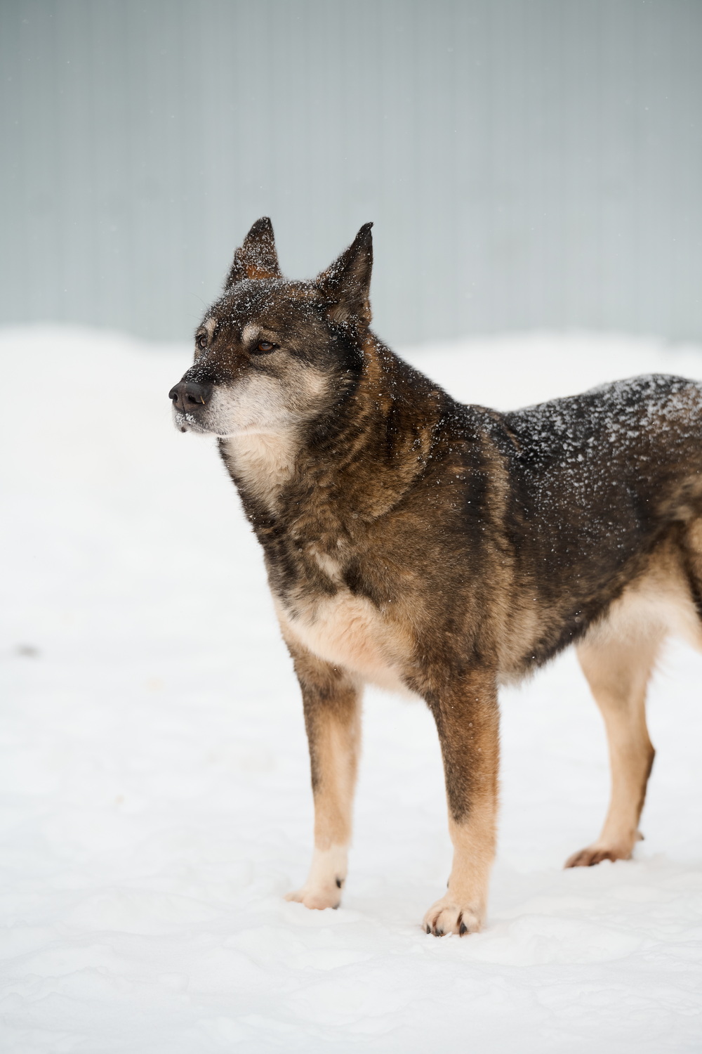 ph: Анна Молодожён