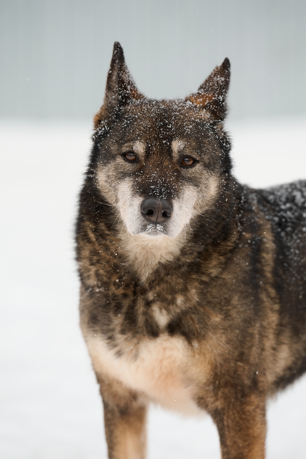 ph: Анна Молодожён