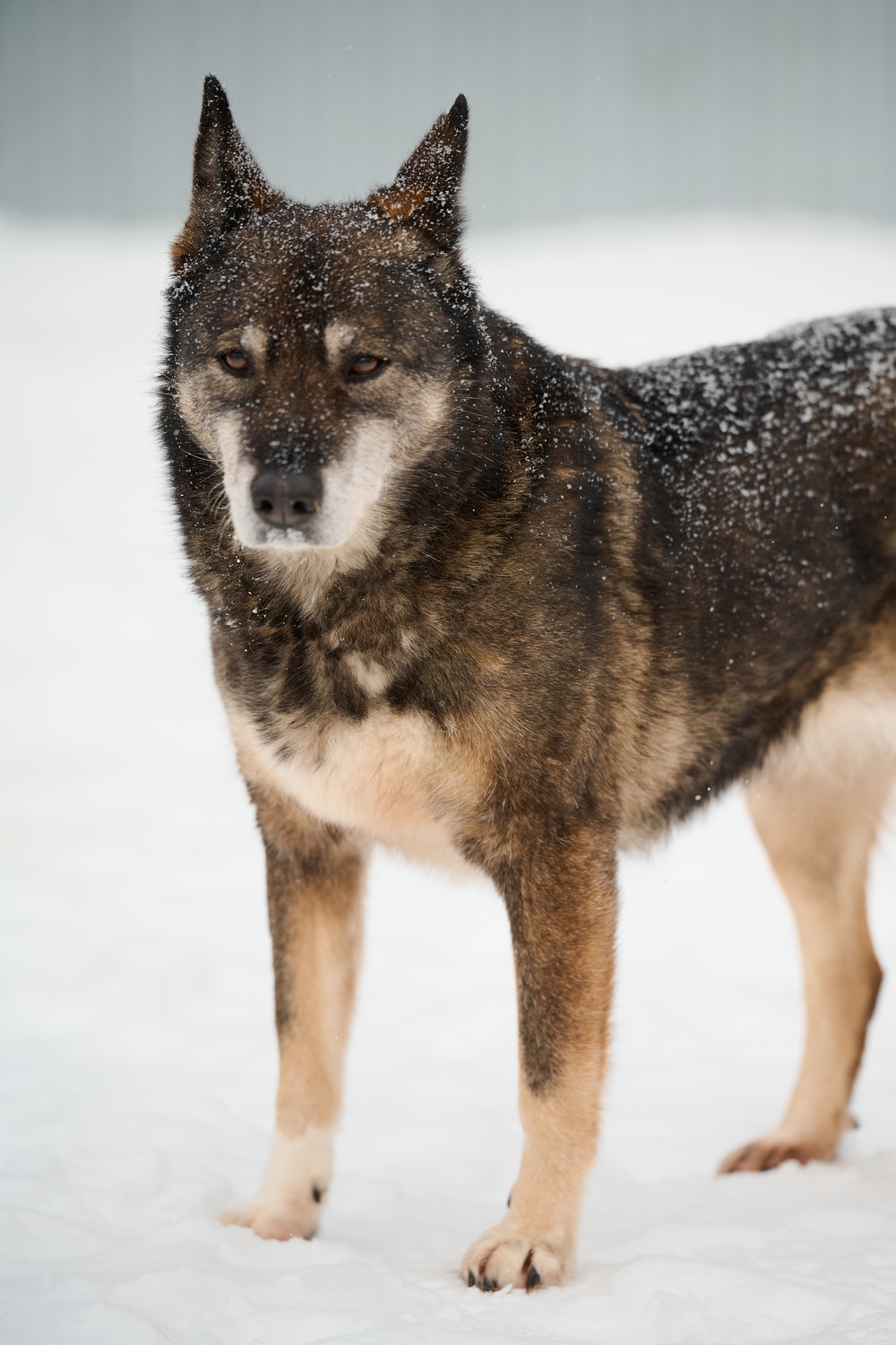 ph: Анна Молодожён