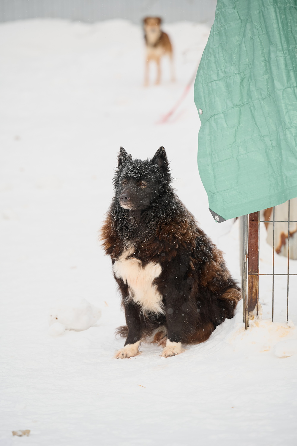 ph: Анна Молодожён