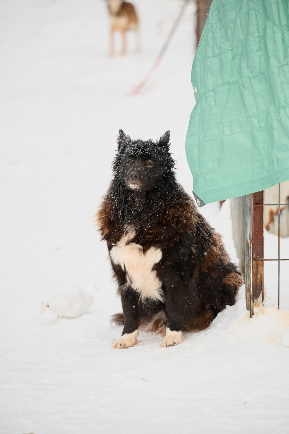 ph: Анна Молодожён