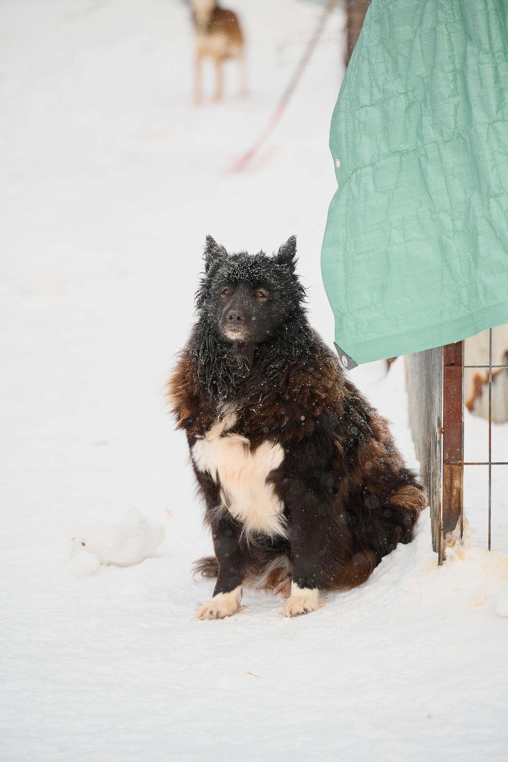 ph: Анна Молодожён