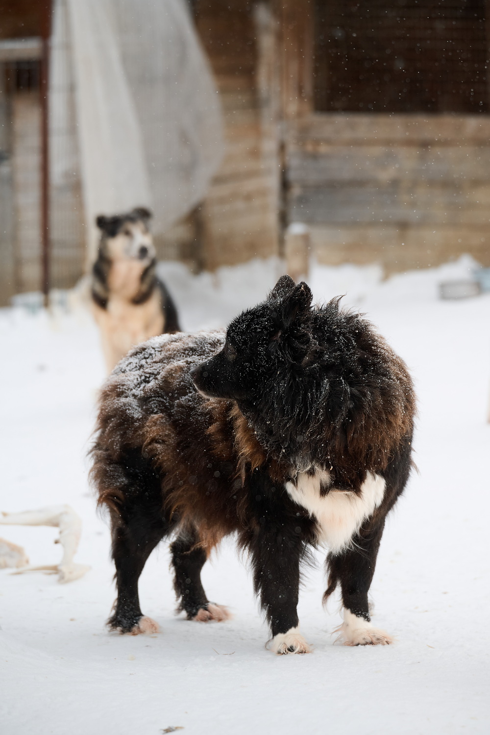 ph: Анна Молодожён