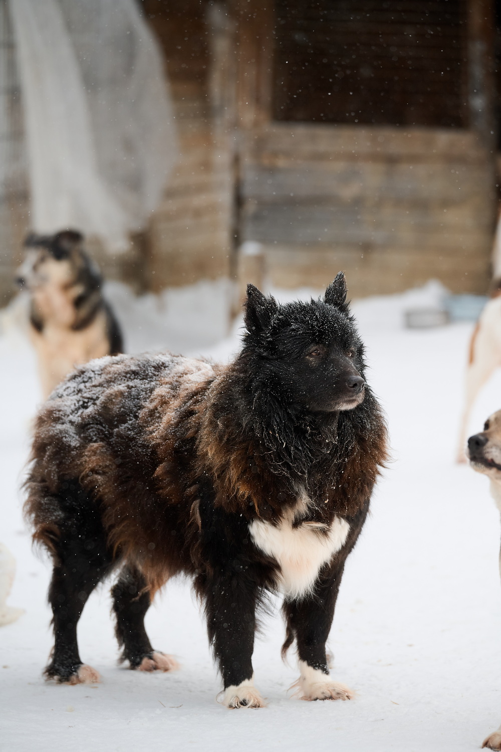 ph: Анна Молодожён