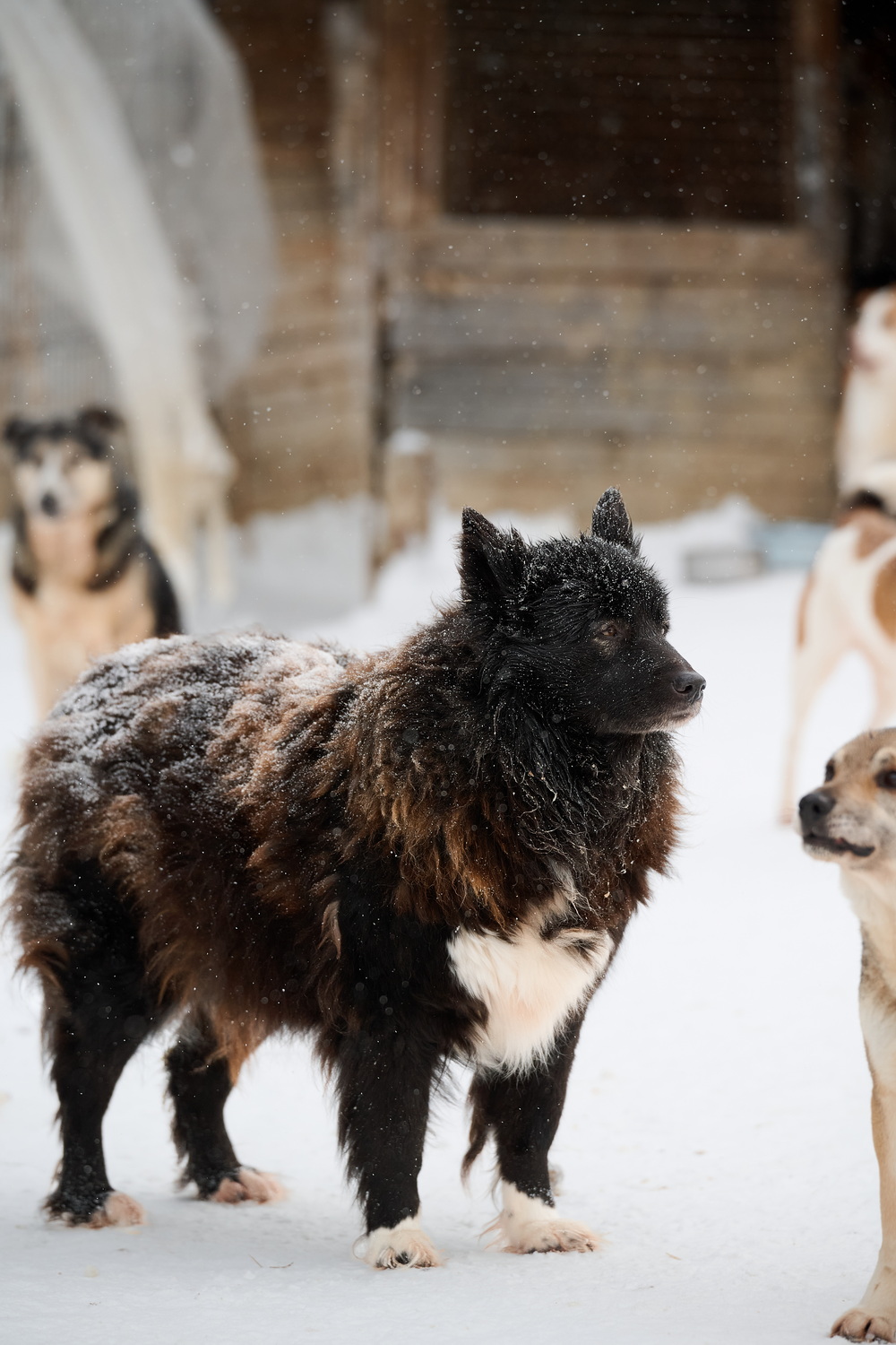 ph: Анна Молодожён