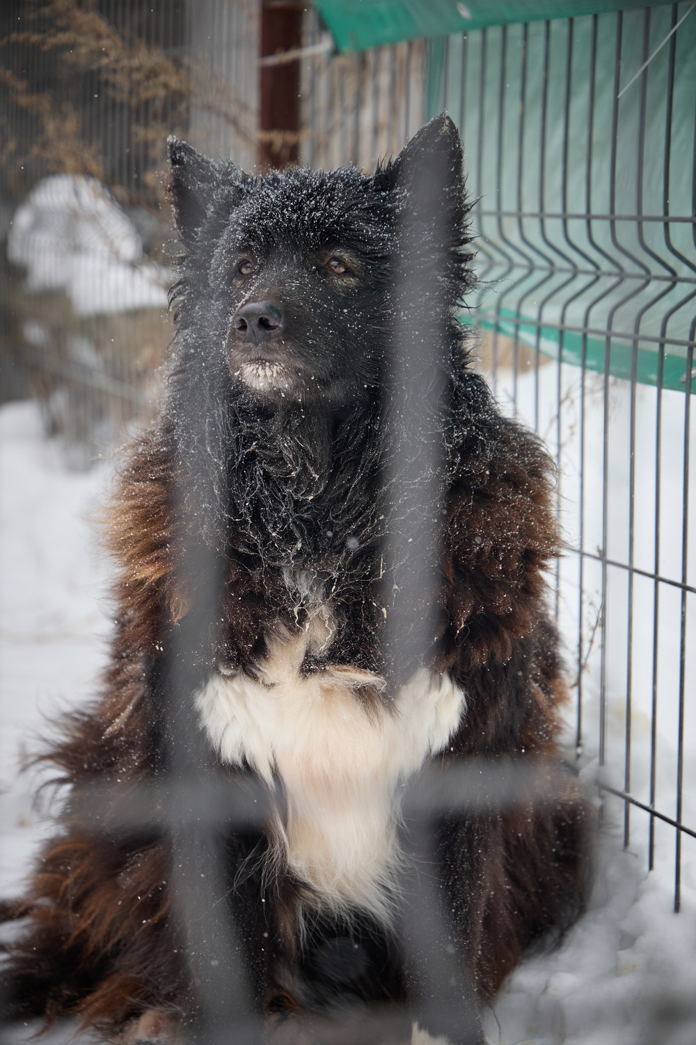 ph: Николай Коба