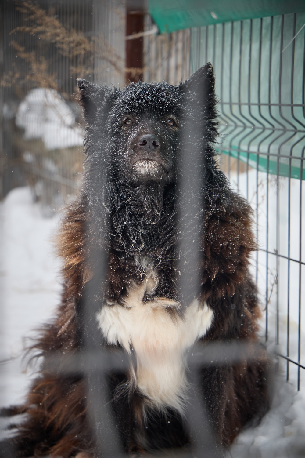 ph: Николай Коба