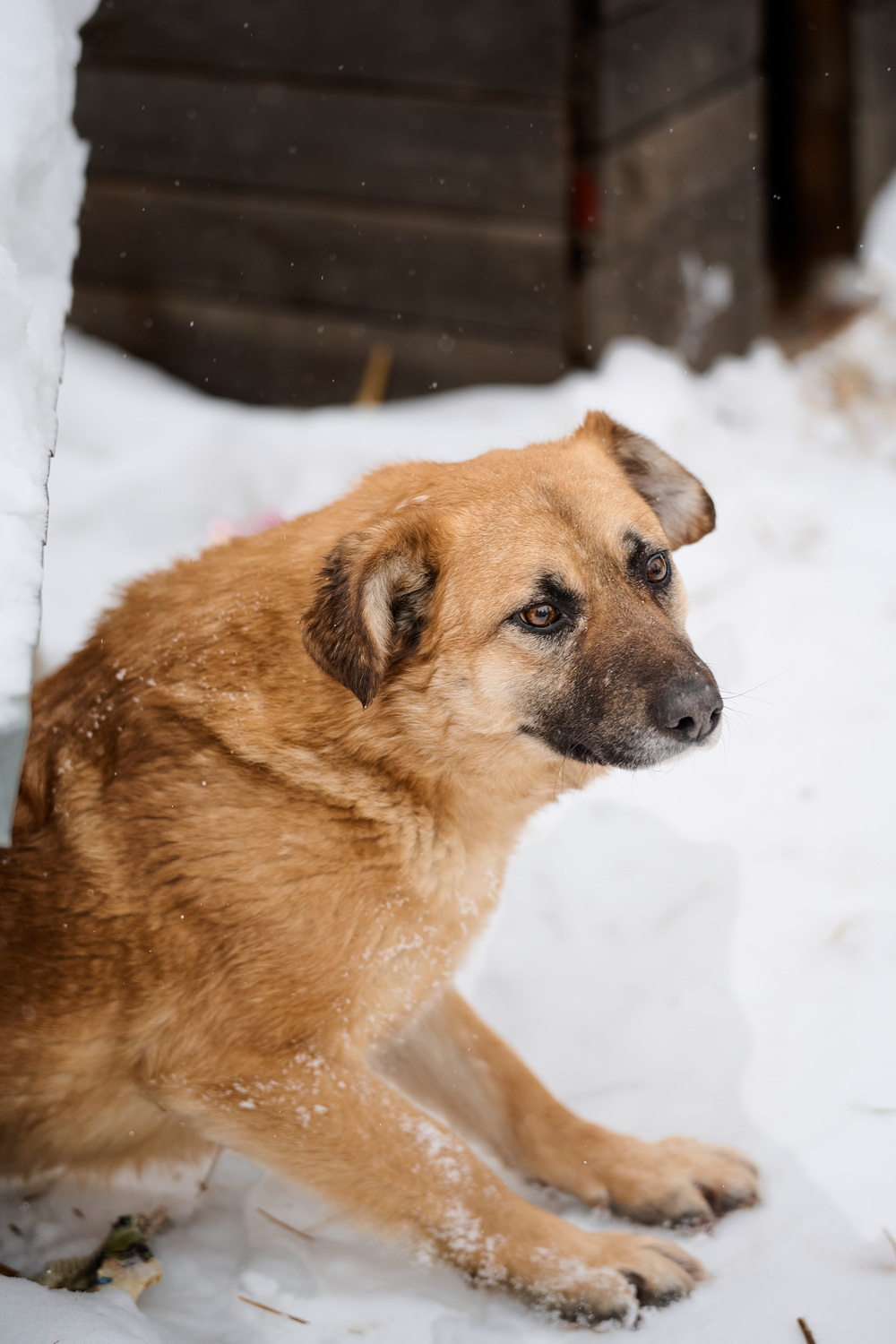 ph: Анна Молодожён