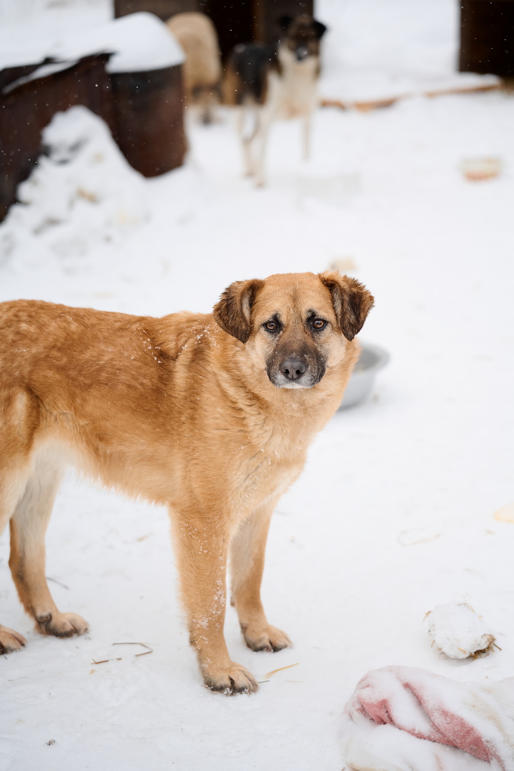 ph: Анна Молодожён