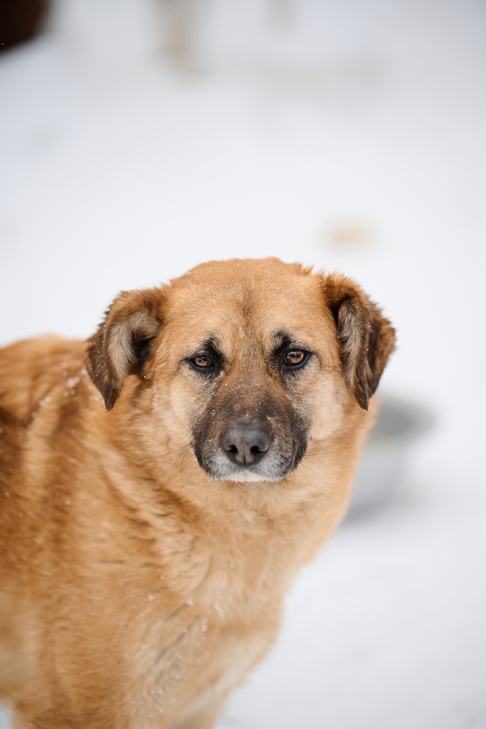 ph: Анна Молодожён