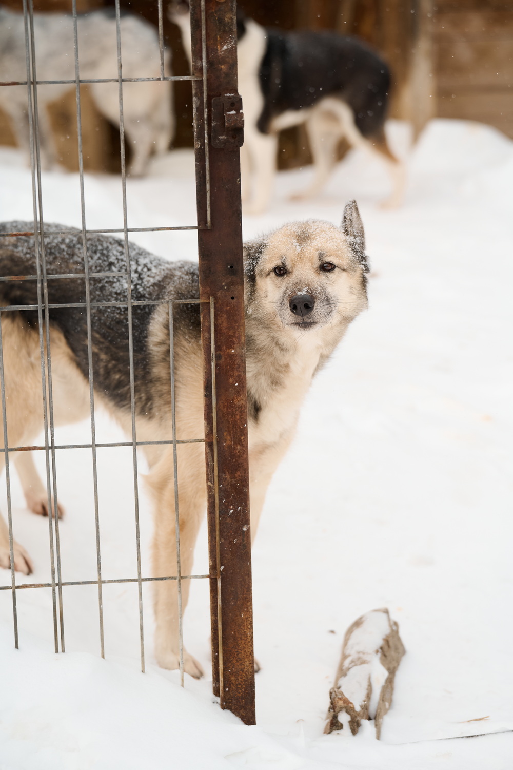 ph: Анна Молодожён