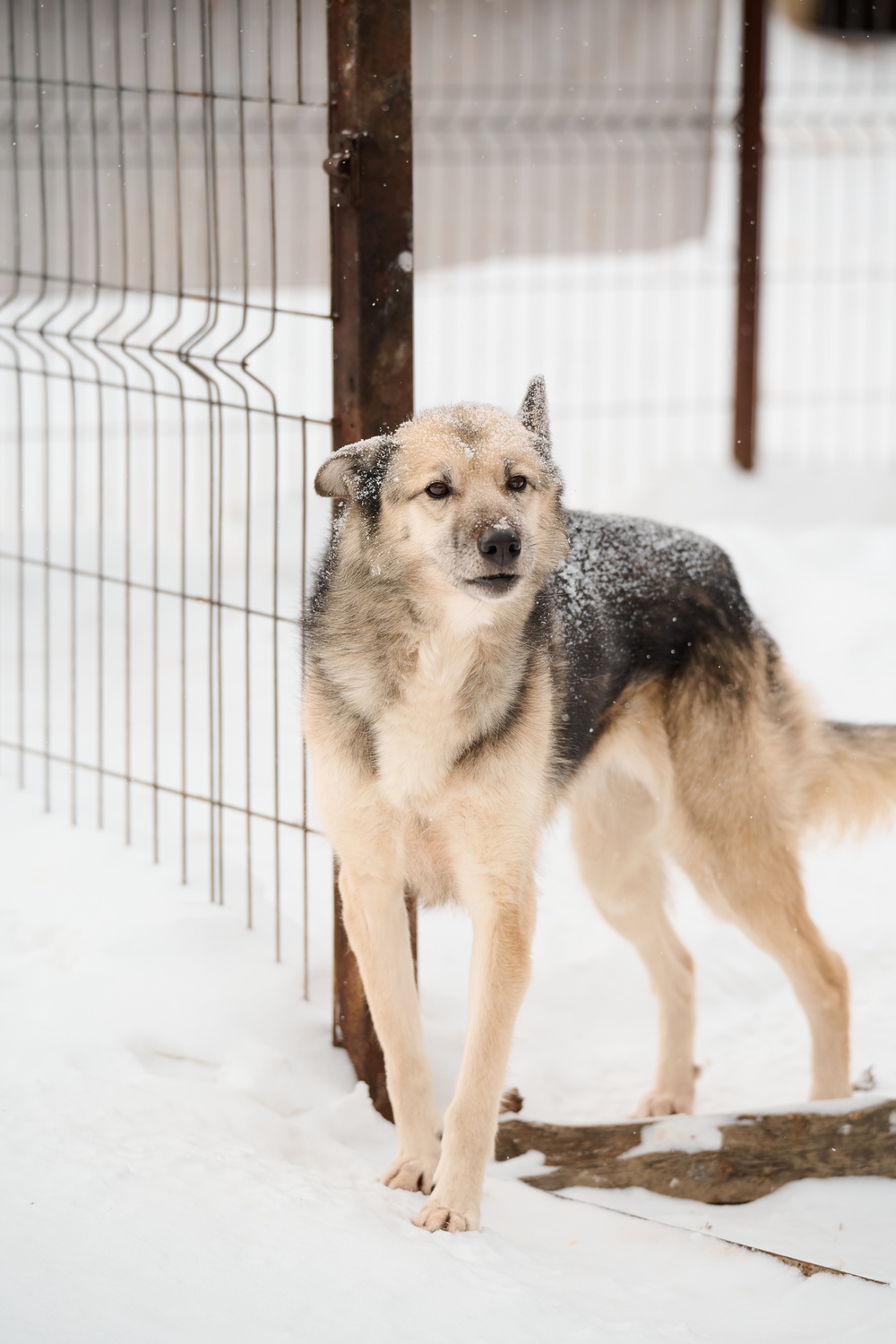 ph: Анна Молодожён