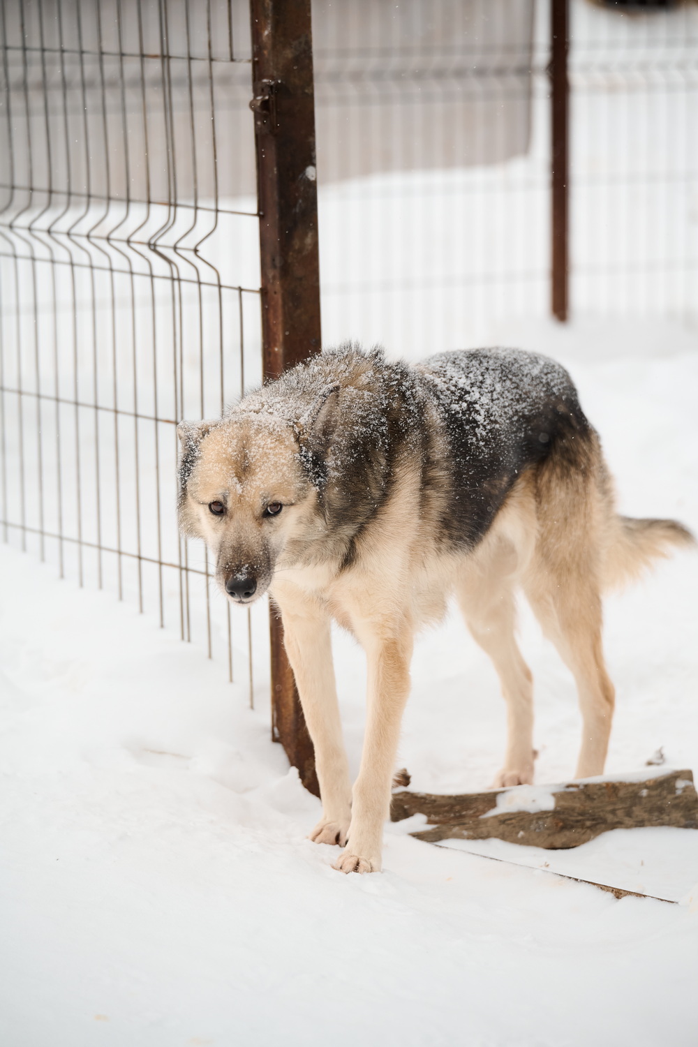 ph: Анна Молодожён